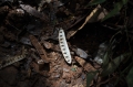 2013-10_CubaActive_B (335)